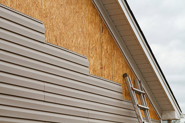 Professional Siding Repair technician working in Clarksburg, WV
